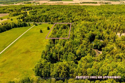 Photo 8 at 4475 DUNROBIN Road, Constance Bay