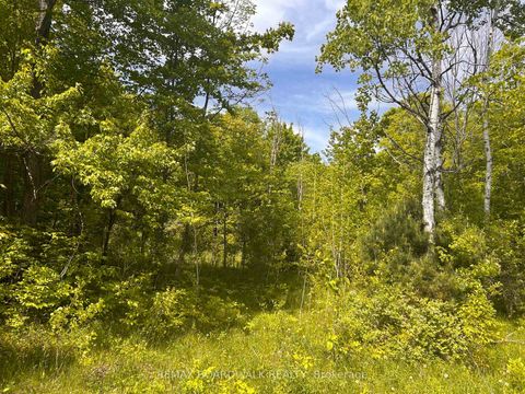 Photo 3 at 00 EBBS BAY Road, Drummond N Elmsley (Drummond) Twp, Drummond/North Elmsley