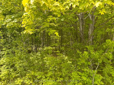 Photo 5 at 00 EBBS BAY Road, Drummond N Elmsley (Drummond) Twp, Drummond/North Elmsley