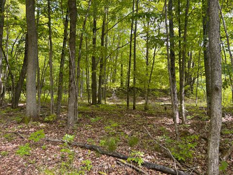 Photo 8 at 00 EBBS BAY Road, Drummond N Elmsley (Drummond) Twp, Drummond/North Elmsley