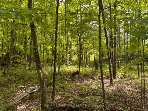 Photo 9 at 00 EBBS BAY Road, Drummond N Elmsley (Drummond) Twp, Drummond/North Elmsley