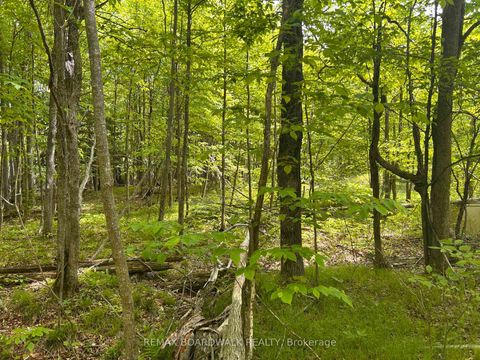 Photo 10 at 00 EBBS BAY Road, Drummond N Elmsley (Drummond) Twp, Drummond/North Elmsley