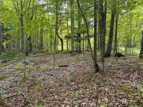 Photo 11 at 00 EBBS BAY Road, Drummond N Elmsley (Drummond) Twp, Drummond/North Elmsley