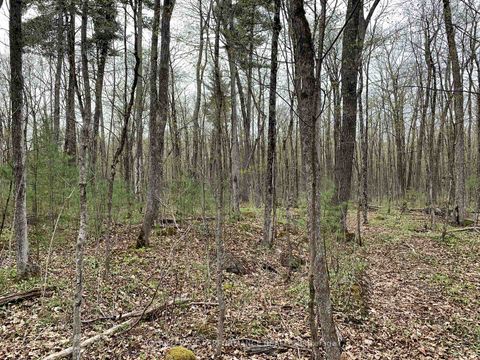 Photo 4 at 00 O'Toole Road, Cumberland West, Orleans