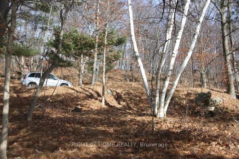 Photo 1 at 00 Hopper Lane, Rideau Lakes (North Crosby) Twp, Rideau Lakes