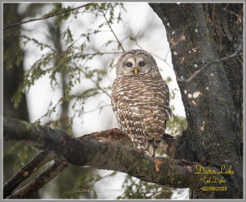 Photo 8 at 00 Poole Drive, Drummond/North Elmsley (North Elmsley) Twp, Drummond/North Elmsley