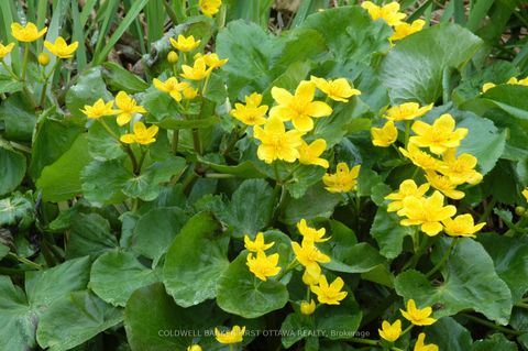 Photo 13 at 00 Poole Drive, Drummond/North Elmsley (North Elmsley) Twp, Drummond/North Elmsley