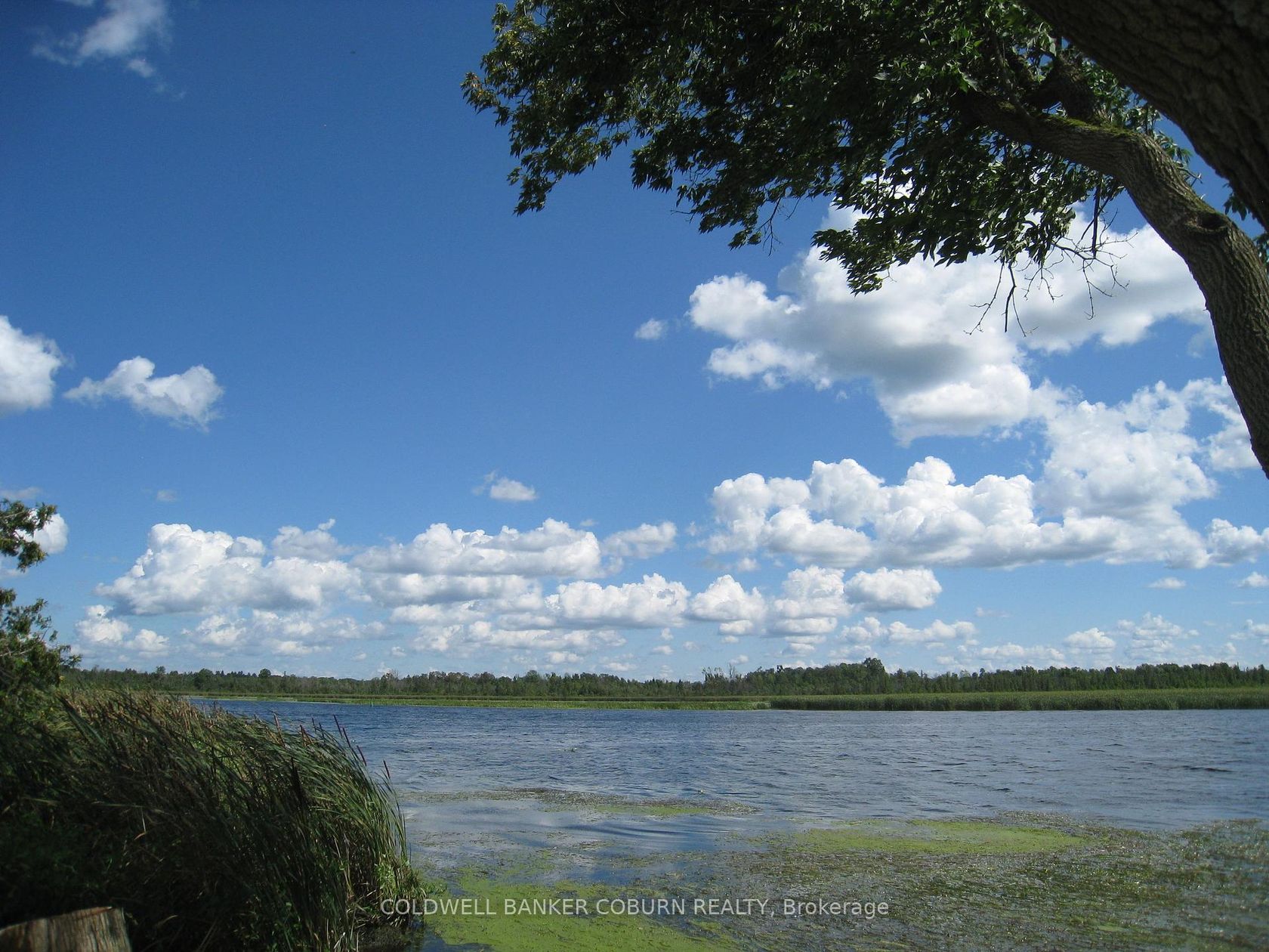 621 Highway 43 Highway W, Montague Twp, Montague 2