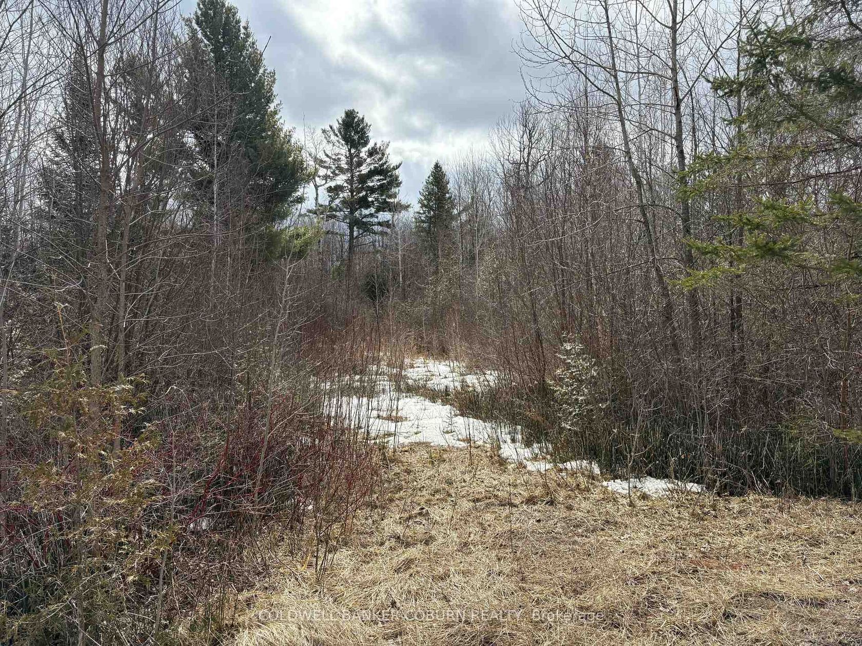 2035 Ventnor Road, Edwardsburgh/Cardinal Twp, Edwardsburgh/Cardinal 2