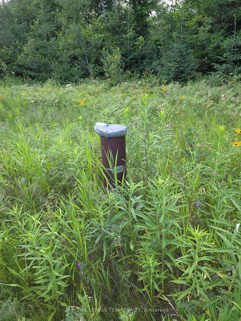 Photo 9 at 2630 Mcmullen Road N, Nepean (Rideau Twp S of Reg Rd 6 W of Mccordick Rd.), Ottawa