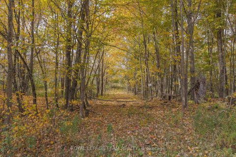 Photo 2 at Lot 7 10th Concession B Road, Lanark Highlands (Lanark) Twp, Lanark Highlands