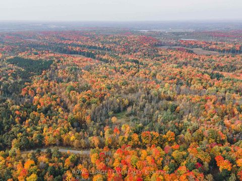 Photo 14 at Lot 7 10th Concession B Road, Lanark Highlands (Lanark) Twp, Lanark Highlands
