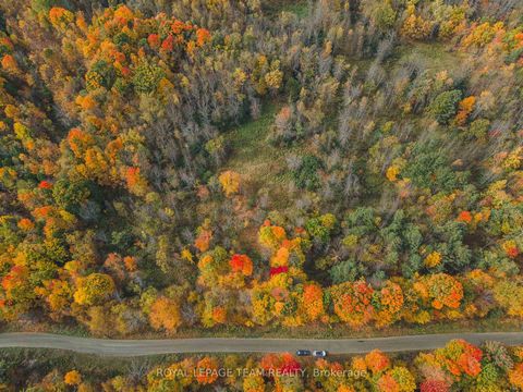 Photo 15 at Lot 7 10th Concession B Road, Lanark Highlands (Lanark) Twp, Lanark Highlands