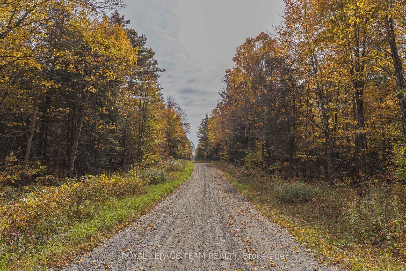 Lot 7 10th Concession B Road, Lanark Highlands (Lanark) Twp, Lanark Highlands 2