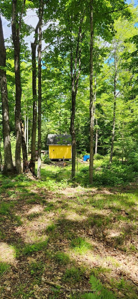 Photo 9 at Pt L 27 Bow Lake Lane, Lanark Highlands (Lanark) Twp, Lanark Highlands