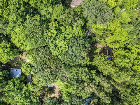 Photo 11 at Pt L 27 Bow Lake Lane, Lanark Highlands (Lanark) Twp, Lanark Highlands