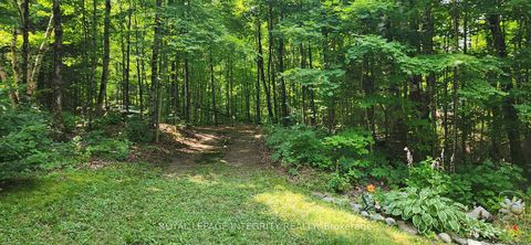 Photo 15 at 356 Bow Lake Lane, Lanark Highlands (Lanark) Twp, Lanark Highlands