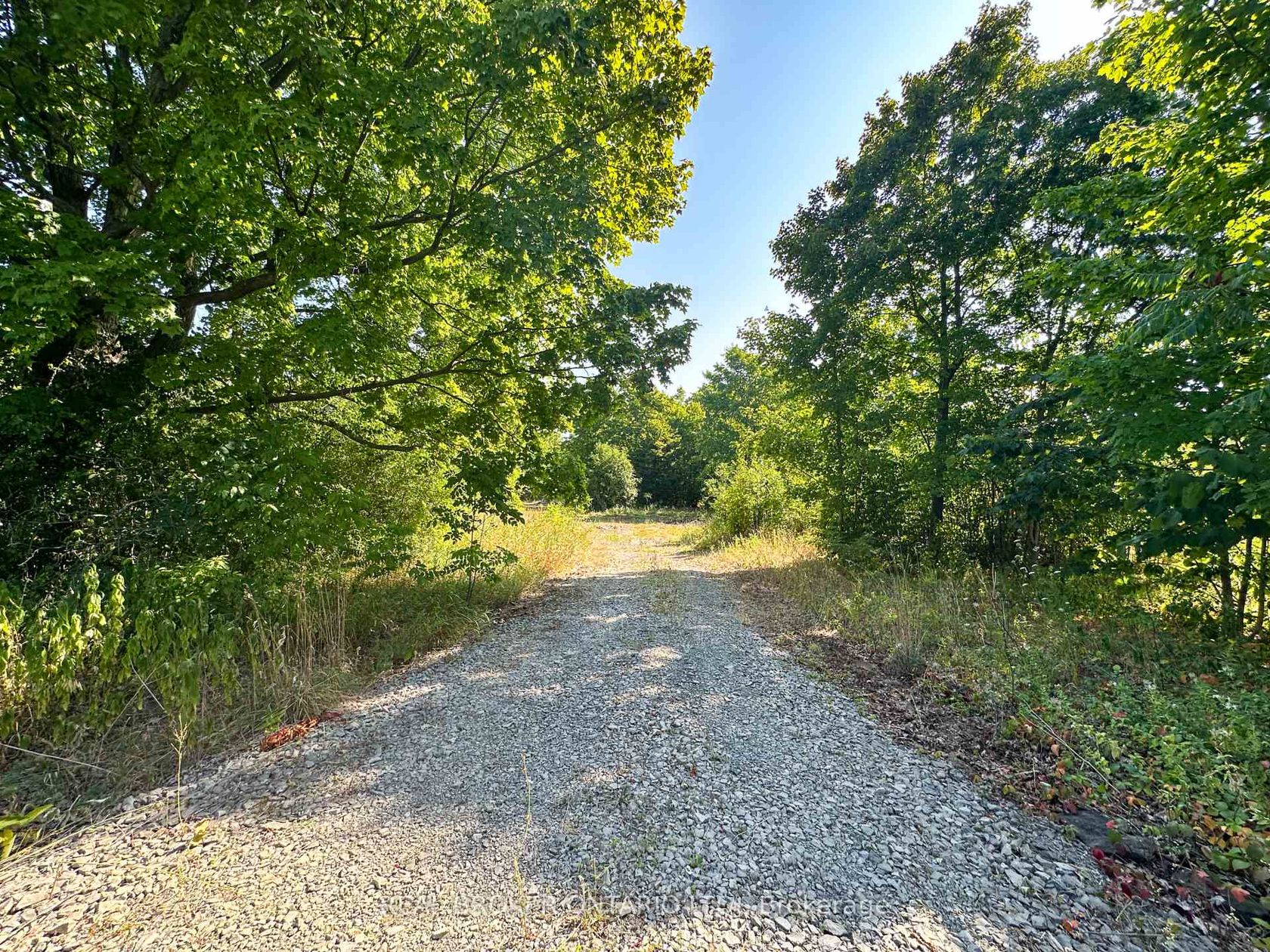 14391 County 15 Road, Merrickville/Wolford Twp, Merrickville 2