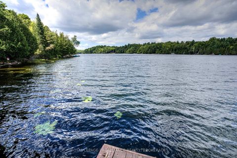 Photo 6 at 372 Murphy Road #100, Rideau Lakes (North Crosby) Twp, Rideau Lakes