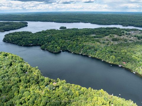 Photo 44 at 372 Murphy Road #100, Rideau Lakes (North Crosby) Twp, Rideau Lakes