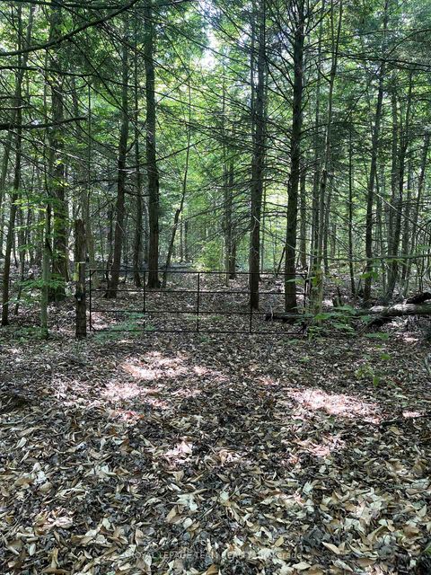 Photo 1 at 000 Dukelow Road, Edwardsburgh/Cardinal Twp, Edwardsburgh/Cardinal