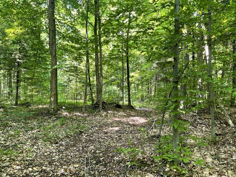 Photo 2 at 000 Dukelow Road, Edwardsburgh/Cardinal Twp, Edwardsburgh/Cardinal