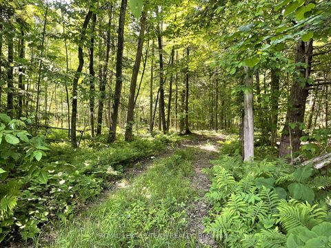 Photo 3 at 000 Dukelow Road, Edwardsburgh/Cardinal Twp, Edwardsburgh/Cardinal