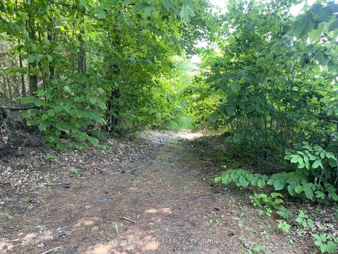 Photo 4 at 000 Dukelow Road, Edwardsburgh/Cardinal Twp, Edwardsburgh/Cardinal