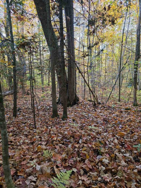 Photo 18 at 000 Dukelow Road, Edwardsburgh/Cardinal Twp, Edwardsburgh/Cardinal