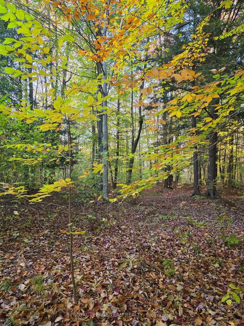 Photo 19 at 000 Dukelow Road, Edwardsburgh/Cardinal Twp, Edwardsburgh/Cardinal