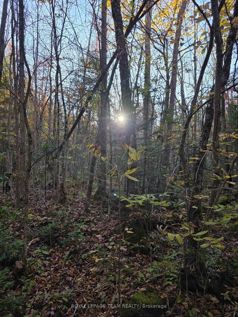 Photo 20 at 000 Dukelow Road, Edwardsburgh/Cardinal Twp, Edwardsburgh/Cardinal