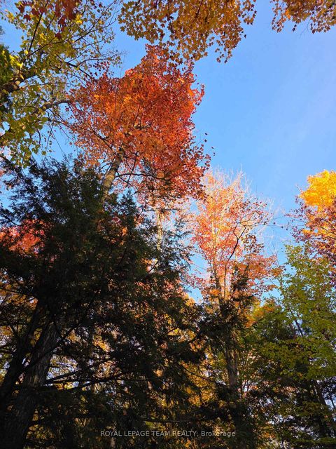 Photo 21 at 000 Dukelow Road, Edwardsburgh/Cardinal Twp, Edwardsburgh/Cardinal