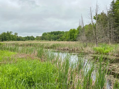 Photo 4 at 1477 Watsons Corners Road, Lanark Highlands (Lanark) Twp, Lanark Highlands