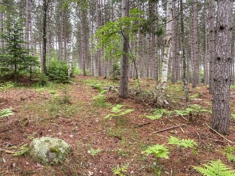 Photo 5 at 1477 Watsons Corners Road, Lanark Highlands (Lanark) Twp, Lanark Highlands