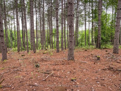 Photo 7 at 1477 Watsons Corners Road, Lanark Highlands (Lanark) Twp, Lanark Highlands