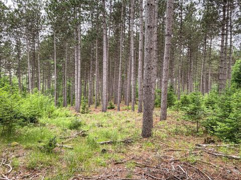 Photo 10 at 1477 Watsons Corners Road, Lanark Highlands (Lanark) Twp, Lanark Highlands