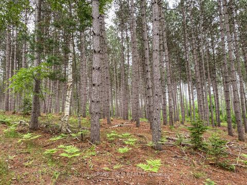 Photo 12 at 1477 Watsons Corners Road, Lanark Highlands (Lanark) Twp, Lanark Highlands