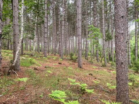 Photo 13 at 1477 Watsons Corners Road, Lanark Highlands (Lanark) Twp, Lanark Highlands