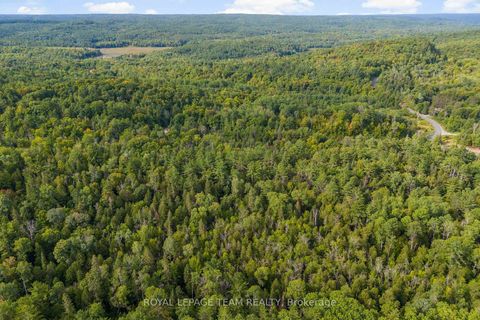 Photo 6 at 1412 French Line Road, Lanark Highlands (Darling) Twp, Lanark Highlands