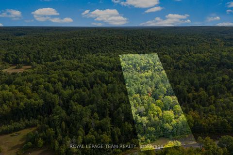 Photo 1 at 1426 French Line Road, Lanark Highlands (Darling) Twp, Lanark Highlands