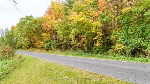 Photo 3 at Lot 131 Ramsay Con 3C Road, Mississippi Mills (Ramsay) Twp, Mississippi Mills