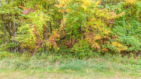 Photo 5 at Lot 131 Ramsay Con 3C Road, Mississippi Mills (Ramsay) Twp, Mississippi Mills