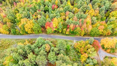 Photo 9 at Lot 131 Ramsay Con 3C Road, Mississippi Mills (Ramsay) Twp, Mississippi Mills