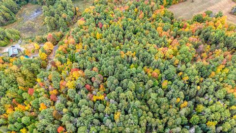 Photo 12 at Lot 131 Ramsay Con 3C Road, Mississippi Mills (Ramsay) Twp, Mississippi Mills