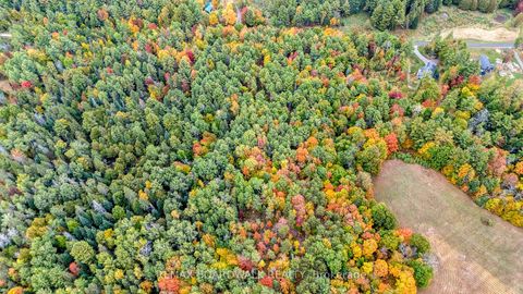 Photo 13 at Lot 131 Ramsay Con 3C Road, Mississippi Mills (Ramsay) Twp, Mississippi Mills