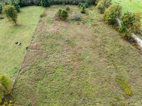 Photo 10 at PT 4 McAndrews Road, Rideau Lakes (North Crosby) Twp, Rideau Lakes