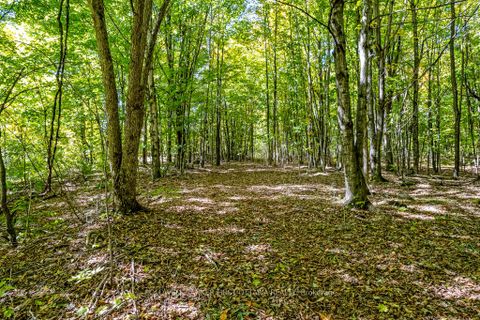 Photo 46 at 4788B Briton Houghton Bay Road, Rideau Lakes (Bastard) Twp, Rideau Lakes