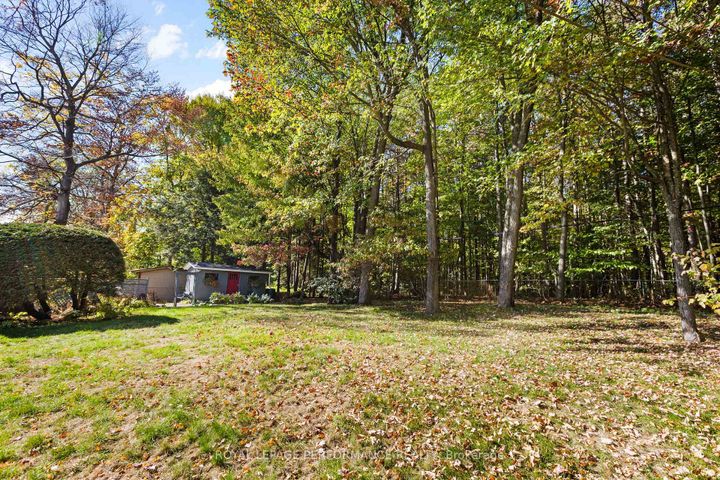 Photo 6 at 5 Revol Road, Nepean (Merivale Gardens), Ottawa