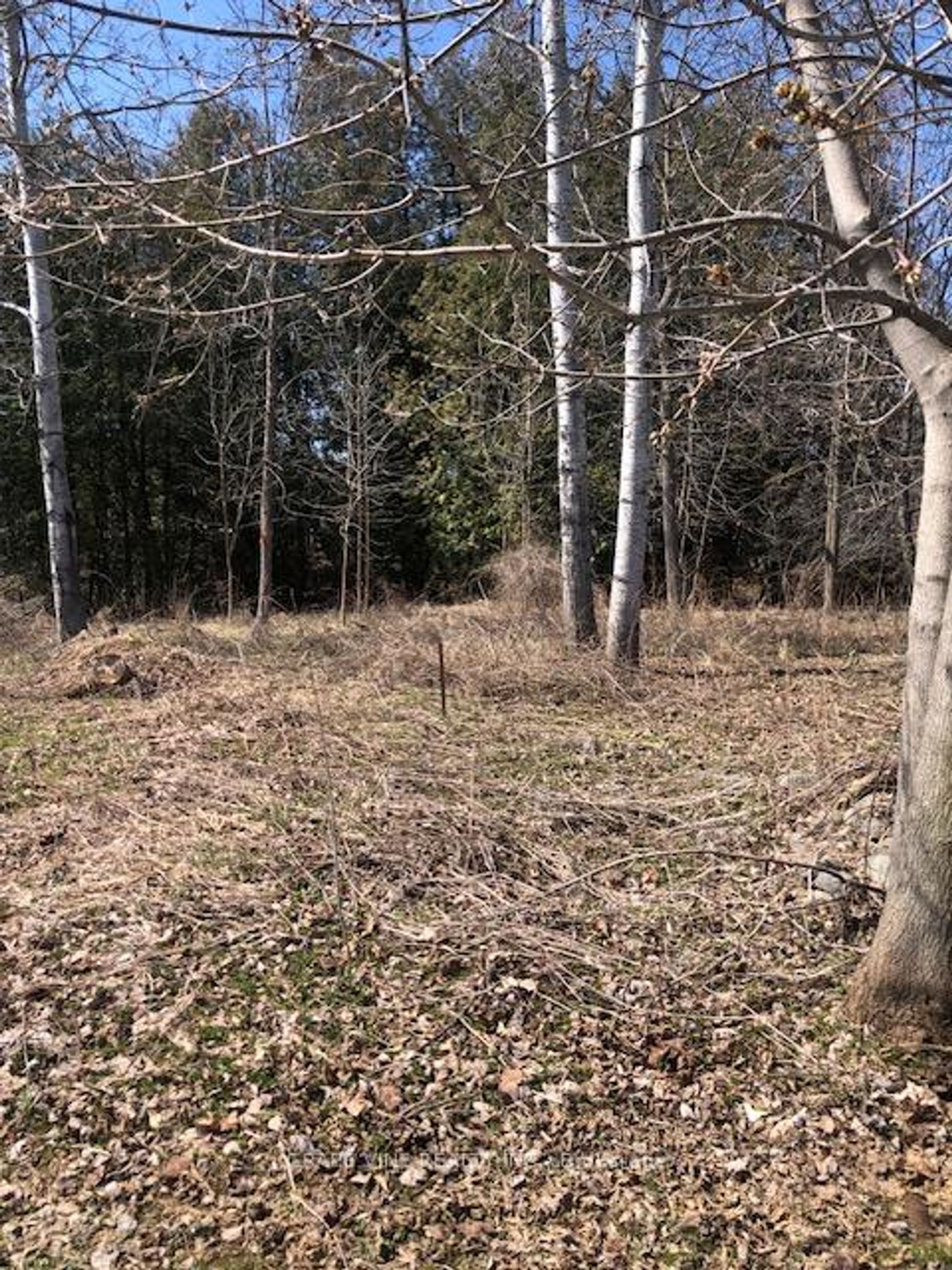 35A Cloverloft Court, Fringewood, Stittsville 2