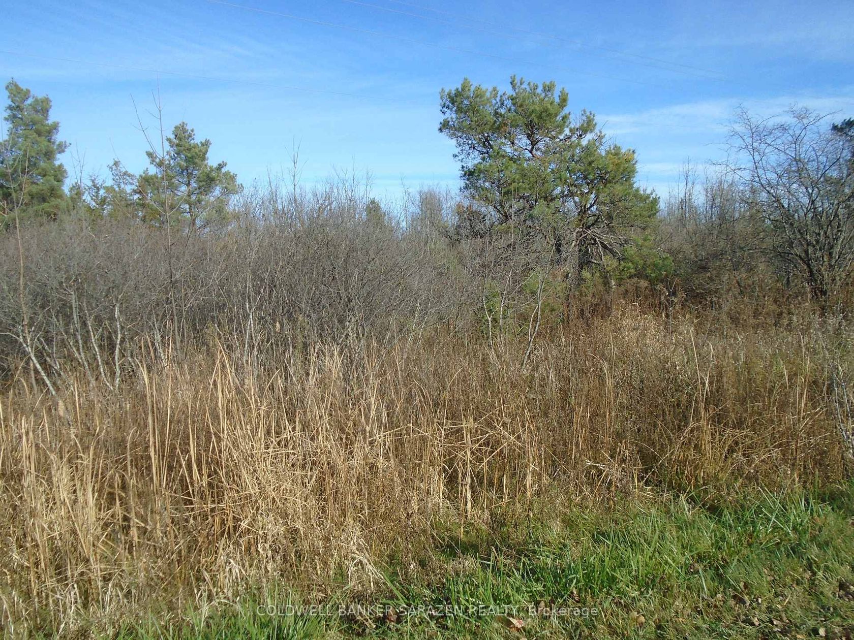 49 Rideau Avenue N, Montague Twp, Montague 2